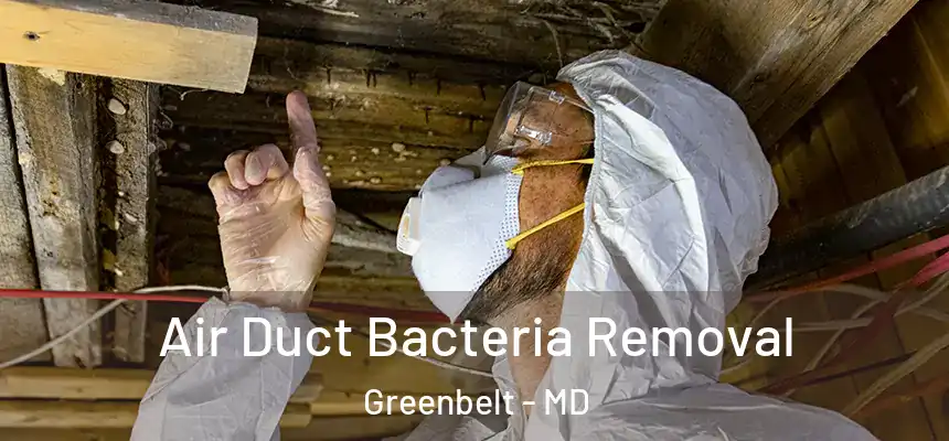  Air Duct Bacteria Removal Greenbelt - MD