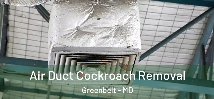 Air Duct Cockroach Removal Greenbelt - MD