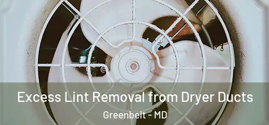  Excess Lint Removal from Dryer Ducts Greenbelt - MD