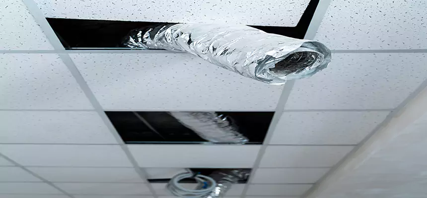 Our Air Duct Pet Hair Removal Services in Greenbelt, MD