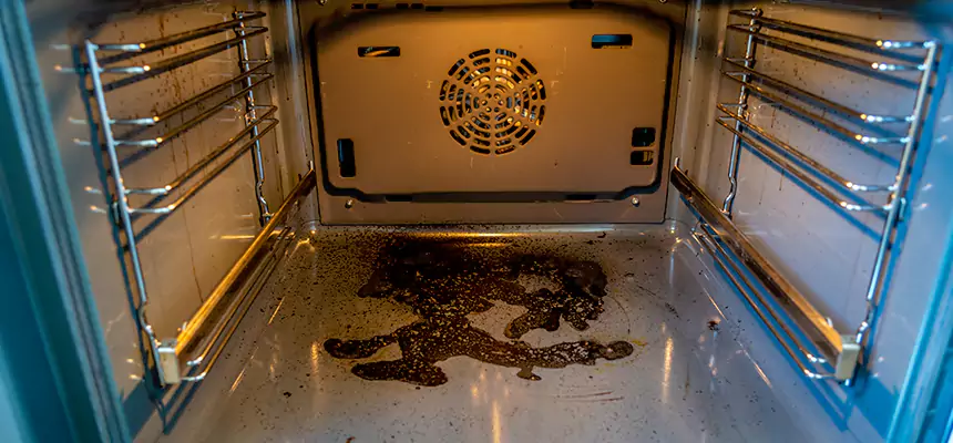 Our Dryer Vent Mold Cleaning Services in Greenbelt, MD