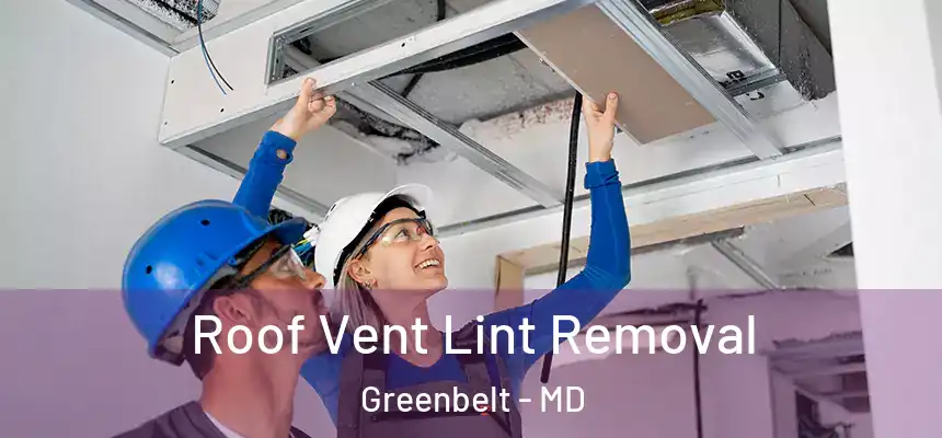  Roof Vent Lint Removal Greenbelt - MD