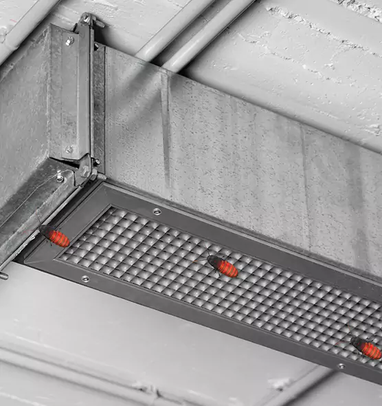 About Air Duct Cockroach Removal in Greenbelt, MD