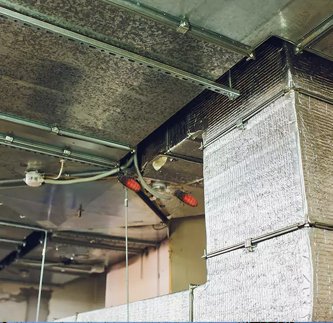 Why Homeowners & Businesses Trust Us in Greenbelt, MD?