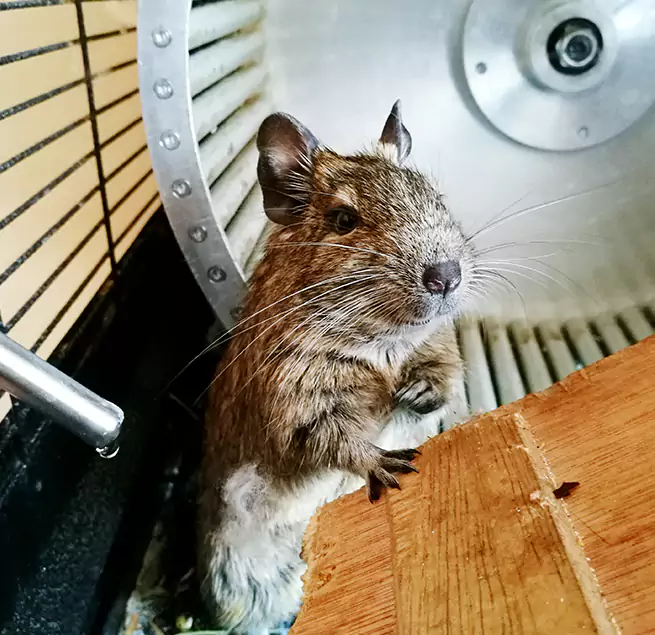 Why Homeowners & Businesses Trust Us Greenbelt, MD