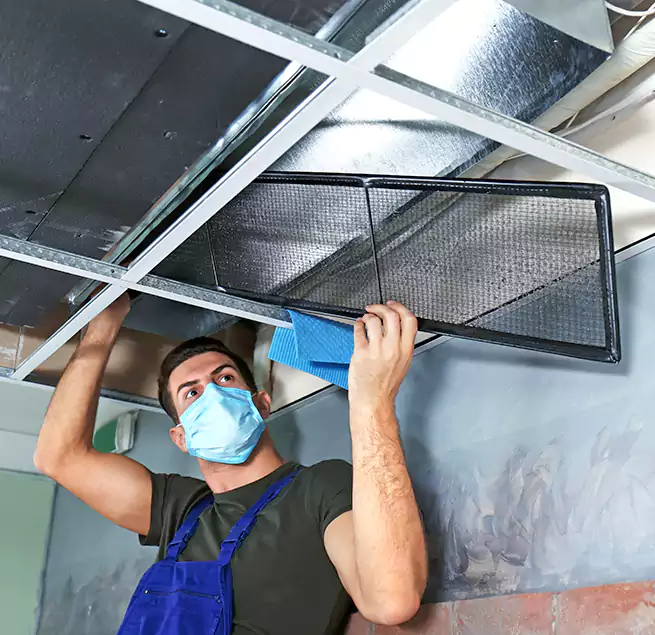 Why Homeowners Businesses Trust Us in Greenbelt, MD