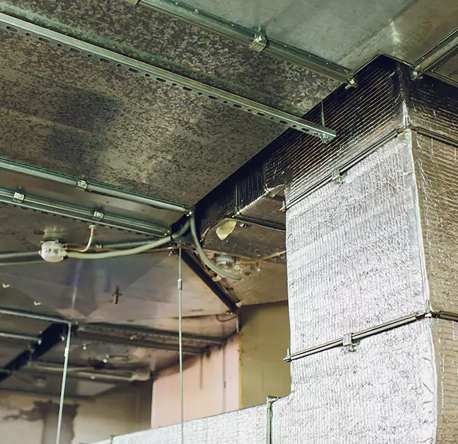 Why Homeowners & Businesses Trust Us in Greenbelt, MD?